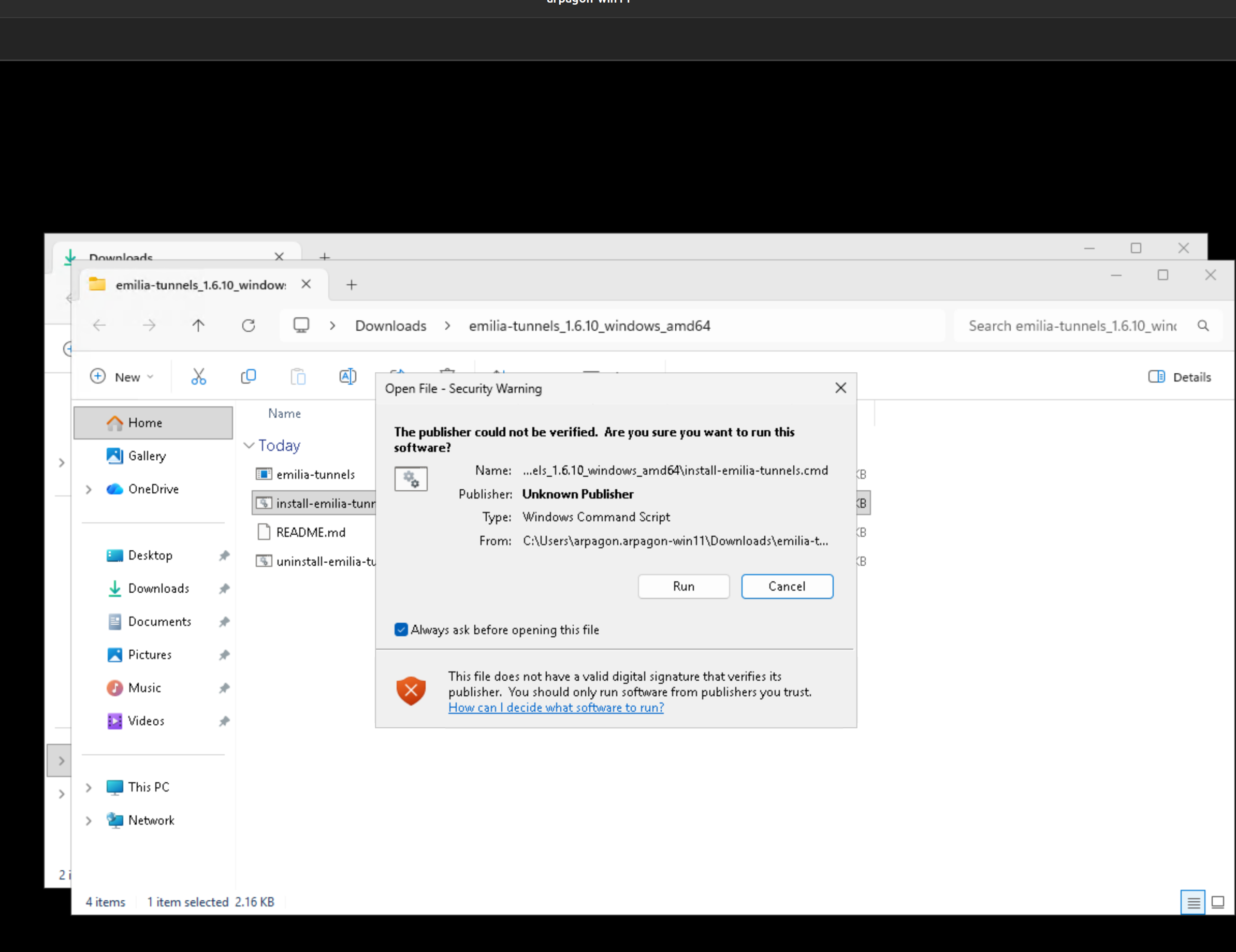 Aviso de seguridad de Windows antes de ejecutar el instalador de Emilia Tunnels